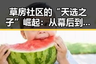 草房社区的“天选之子”崛起：从幕后到台前的蜕变